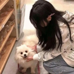 鸭脖app下载手机app下载